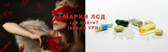 стаф Инта