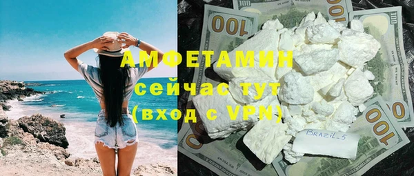 стаф Ельня