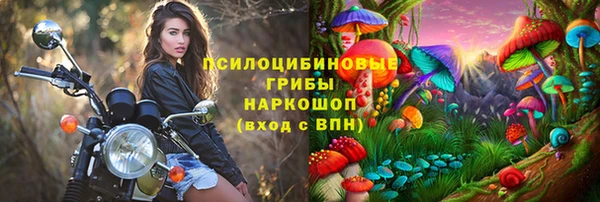 ALPHA PVP Алзамай