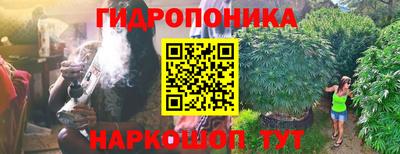 индика Ливны