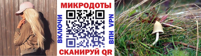 где продают   Челябинск  Галлюциногенные грибы Psilocybe 