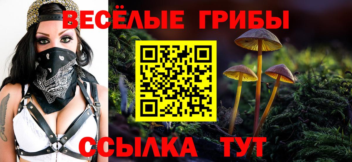 Псилоцибиновые грибы GOLDEN TEACHER Челябинск