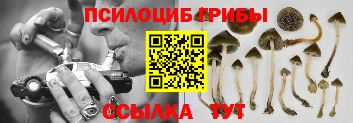Челябинск  закладки  Псилоцибиновые грибы мухоморы  Вход с VPN  Галлюциногенные грибы Psilocybine cubensis 